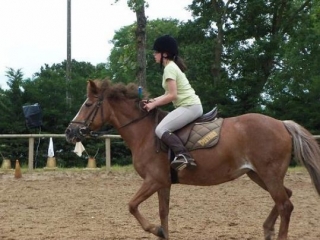 Poney Club de la Pérelle